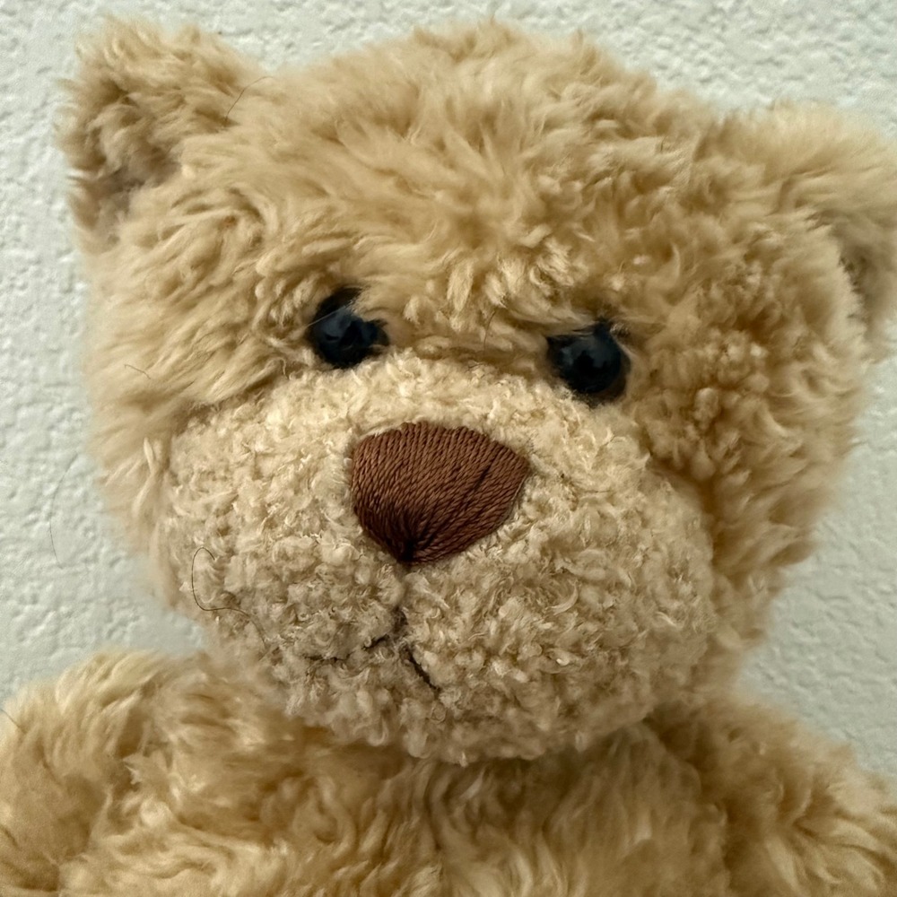 Build-A-Bear Lil Cub Walnut Teddy Bear Tan Plush Stuffed Animal Shaggy curly sit